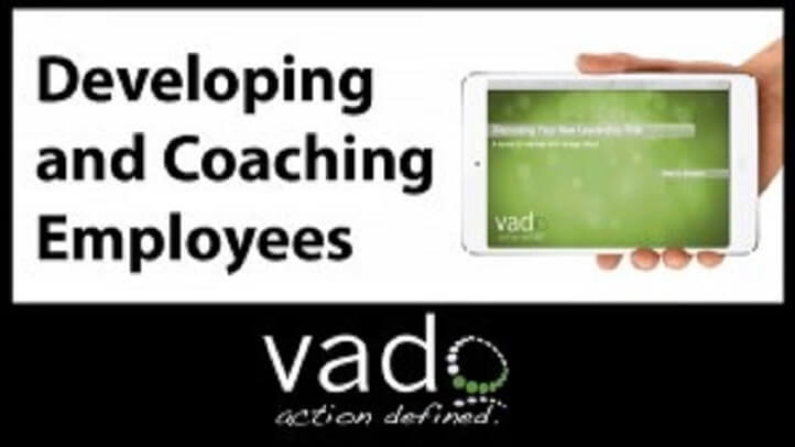 Developing and Coaching Employees: For Business & Project Management